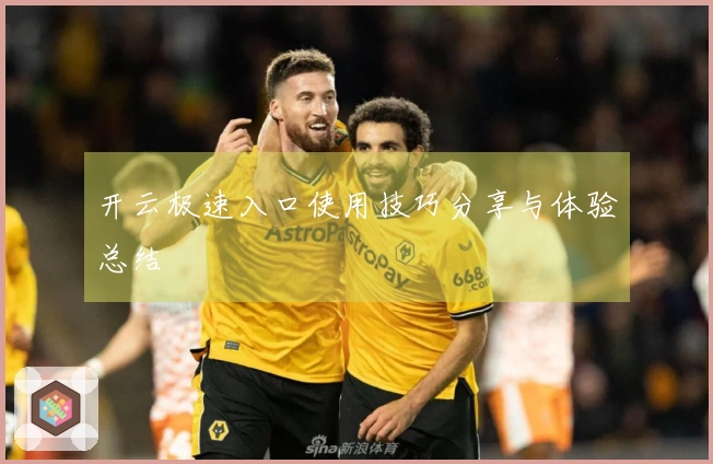 开云极速入口使用技巧分享与体验总结